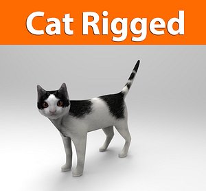 3d cat rigged