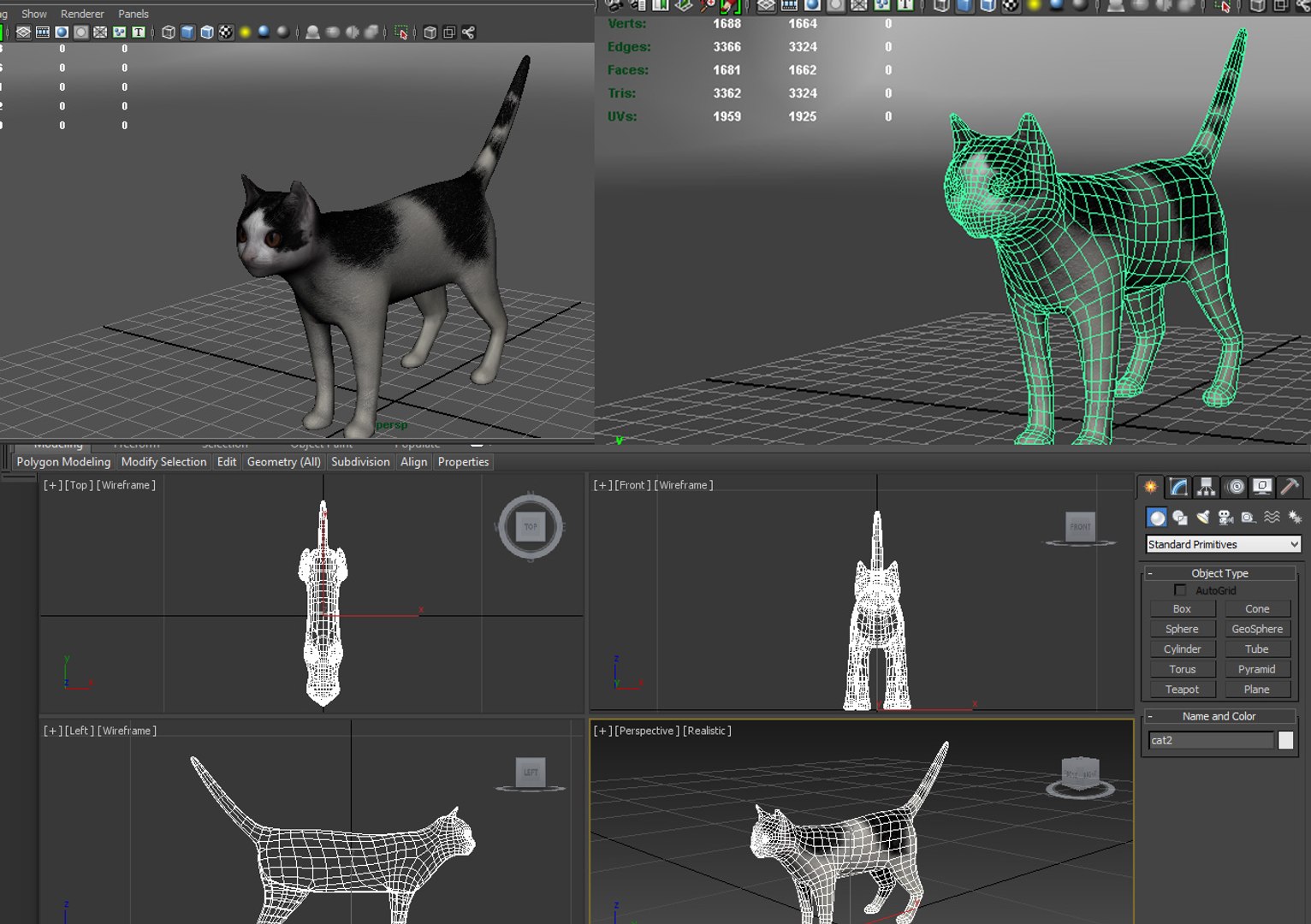 3d Cat Rigged