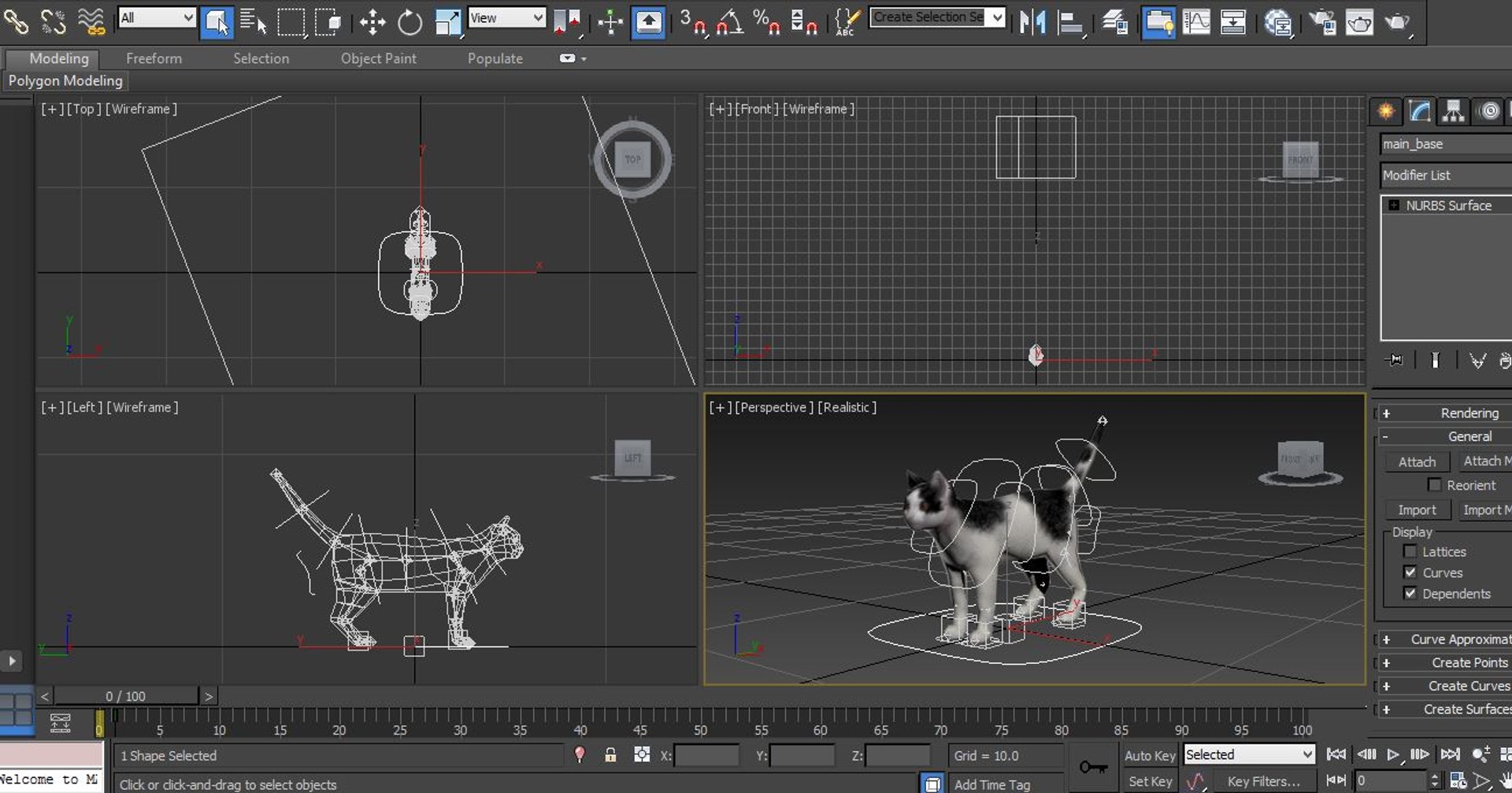 3d Cat Rigged