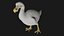 Realistic low polygon rigged dodo bird