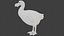 Realistic low polygon rigged dodo bird