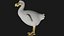 Realistic low polygon rigged dodo bird