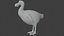 Realistic low polygon rigged dodo bird