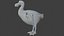 Realistic low polygon rigged dodo bird