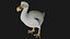 Realistic low polygon rigged dodo bird