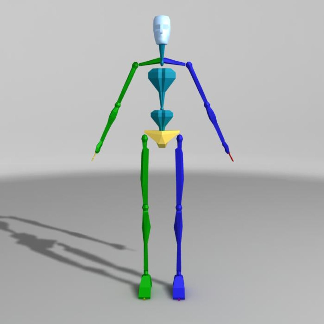 3d Rigged Body
