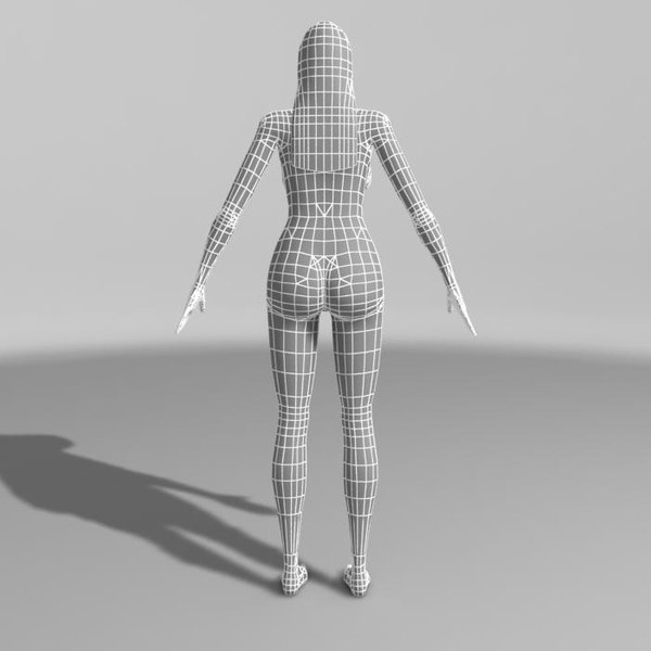 3d rigged body