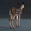 Fawn (Baby Deer)