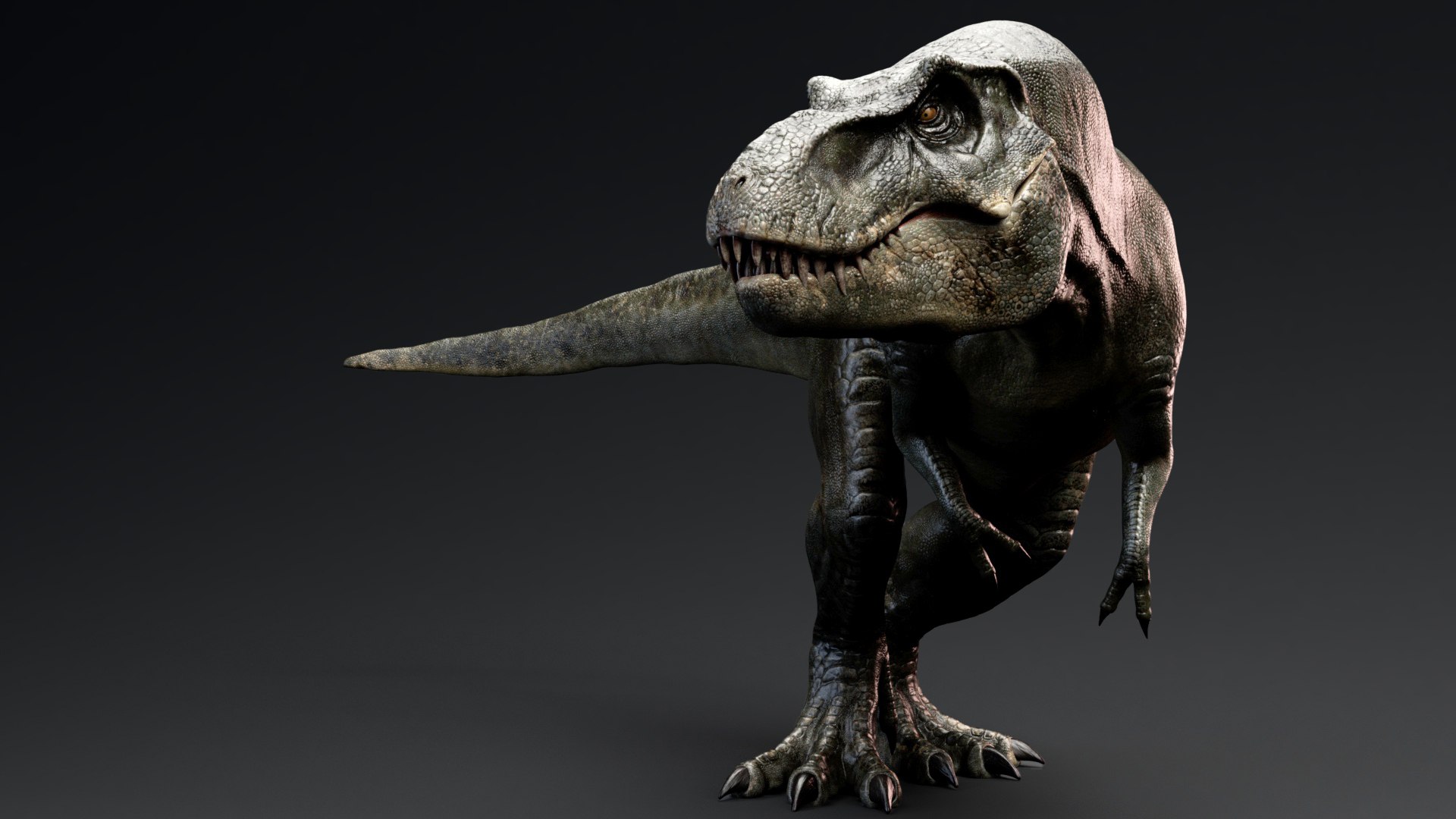 Tyrannosaurus Rex Stan Unity - FBX 3D model https://p.turbosquid.com/ts-thumb/TK/5kcVdP/Jd/t_031a/jpg/1709814129/1920x1080/fit_q87/d498dd2b6d49690c13241e2ec993f2fcadaebf95/t_031a.jpg