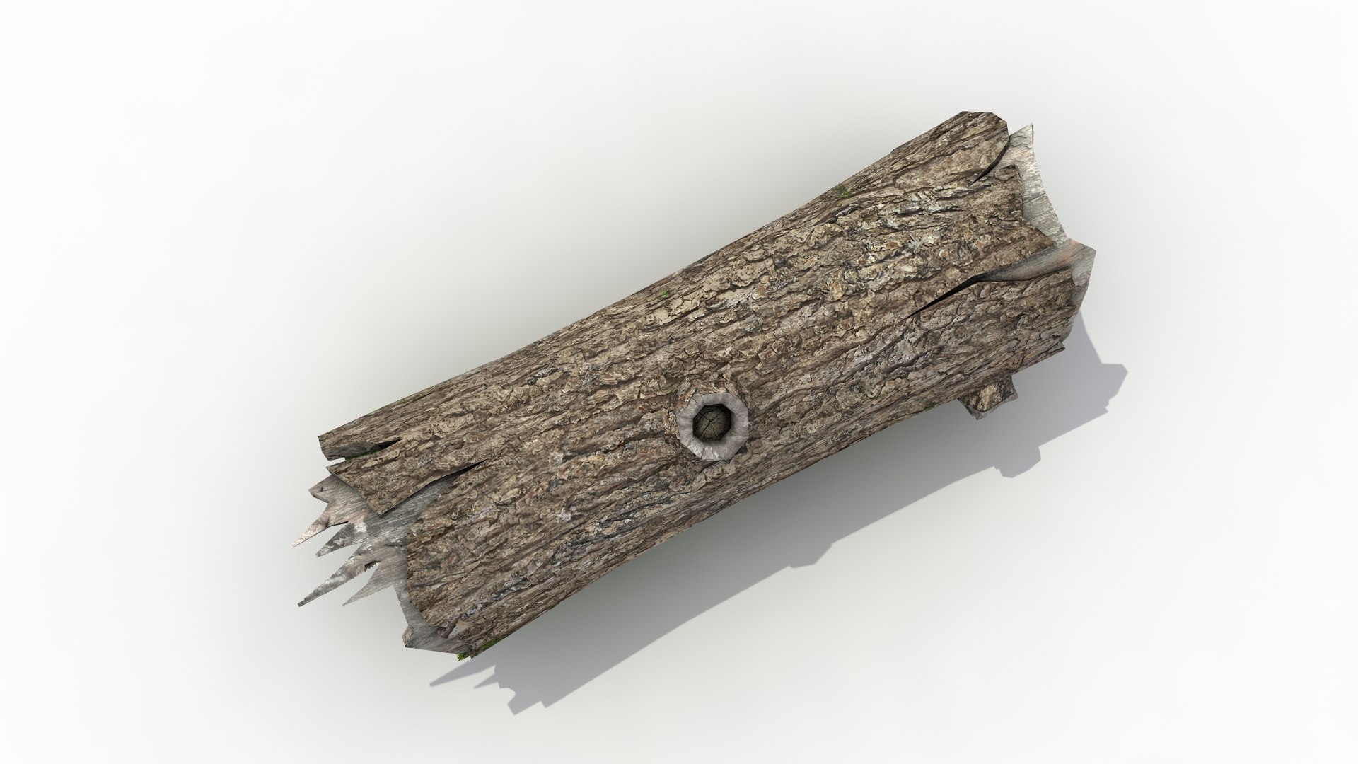 x old tree trunk maple https://p.turbosquid.com/ts-thumb/TK/IndcnV/MqKVmQfx/10/jpg/1449943983/1920x1080/fit_q87/7e691aa0bc85ded92c7409dc669a8e806bc3fe88/10.jpg