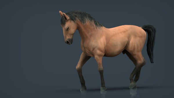 Cavalo de corrida realista Modelo 3D - TurboSquid 1133352