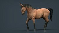 SPANISH HORSE
