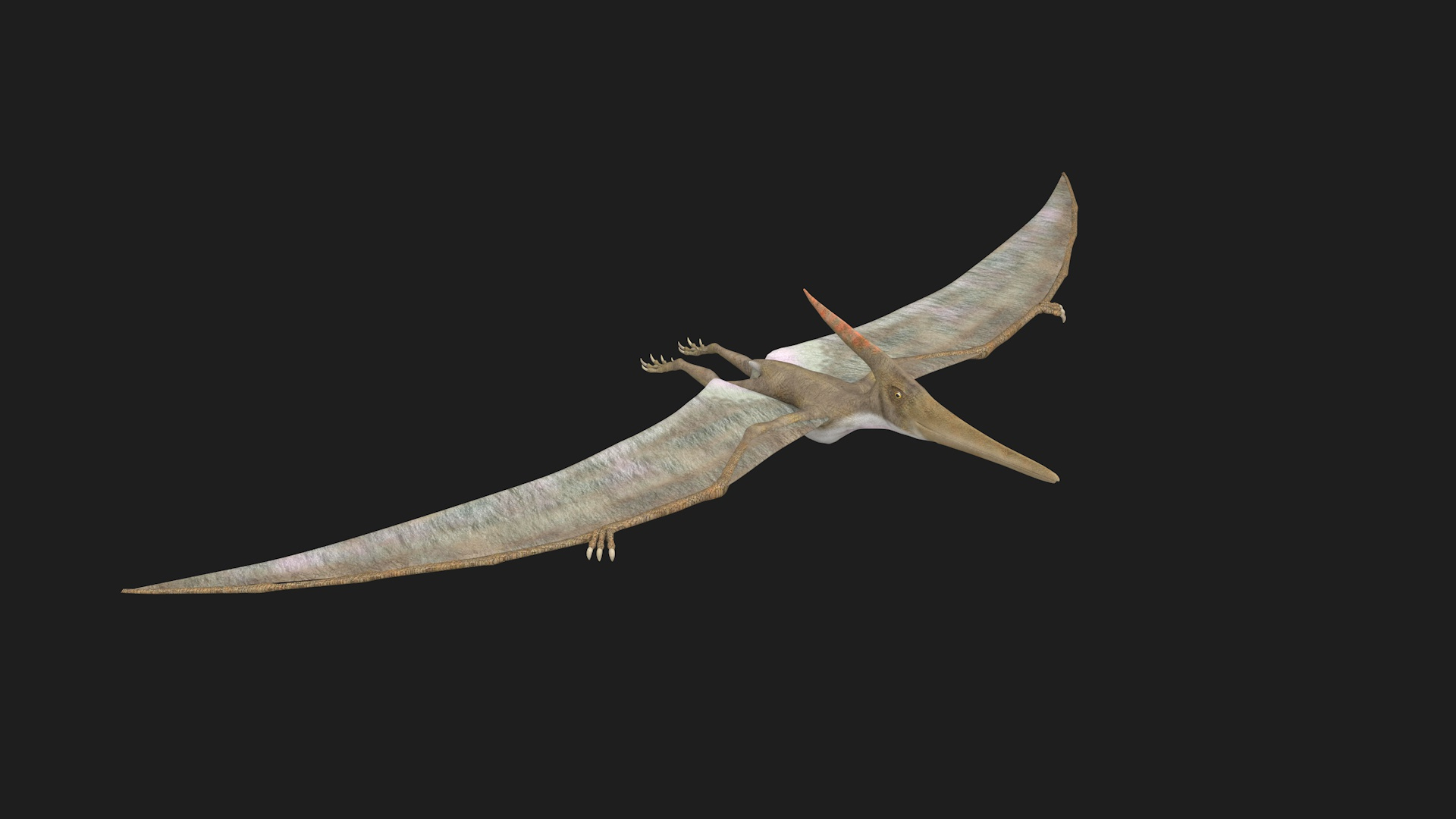 the pteranodon