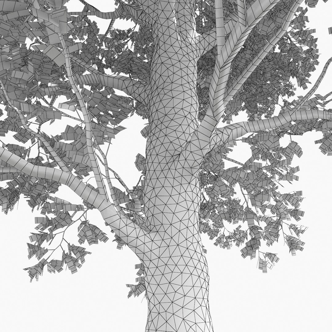 3D linden tree model - TurboSquid 1151344