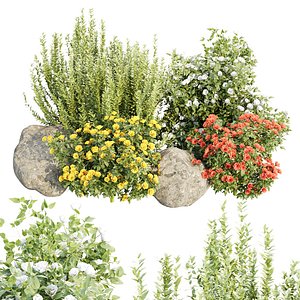3D Outdoor Plants set 514 3D Plant Model
