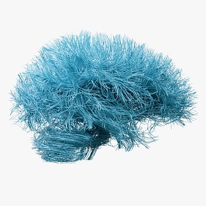 Human brain nerve tracts 3D model