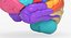 Brain Anatomical Segments