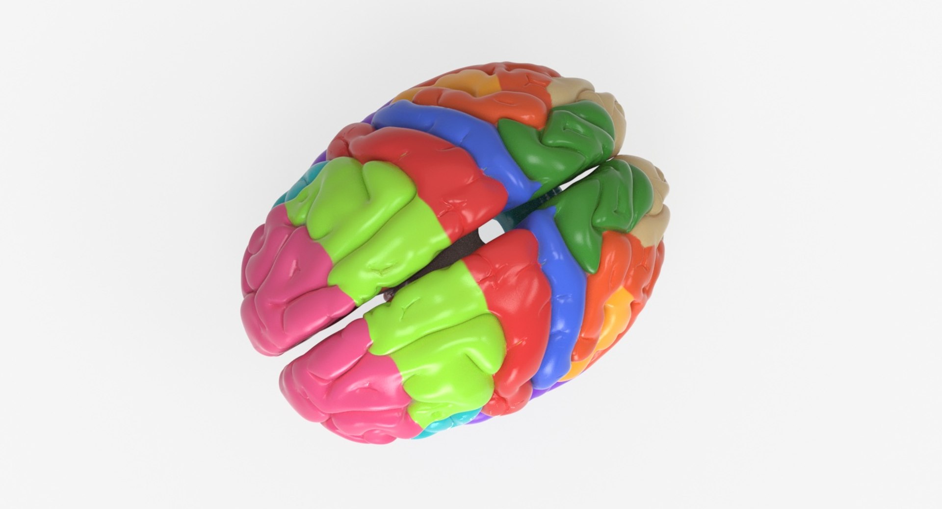 brain anatomical segments 3D model https://p.turbosquid.com/ts-thumb/TK/c1eAzd/9seclzCa/brain_anatomical_segments_0005/jpg/1551382676/1920x1080/fit_q87/0dcdb655d50bf2c96ab9fab0e83f87b5ec1b28bd/brain_anatomical_segments_0005.jpg