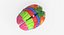 Brain Anatomical Segments