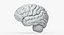 Brain Anatomical Segments