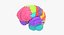 Brain Anatomical Segments