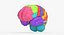 Brain Anatomical Segments