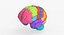 Brain Anatomical Segments