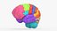 Brain Anatomical Segments