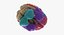 Brain Anatomical Segments