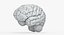 Brain Anatomical Segments