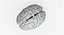 Brain Anatomical Segments