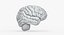 Brain Anatomical Segments