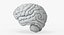 Brain Anatomical Segments