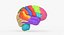 Brain Anatomical Segments