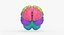 Brain Anatomical Segments