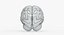 Brain Anatomical Segments