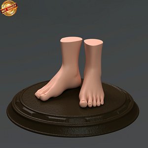 modeled male anatomy human 3d obj