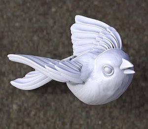 bird