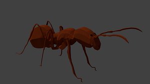 Ant
