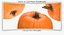 Jack o Latern Pumpkins Collection 02 - 3 models