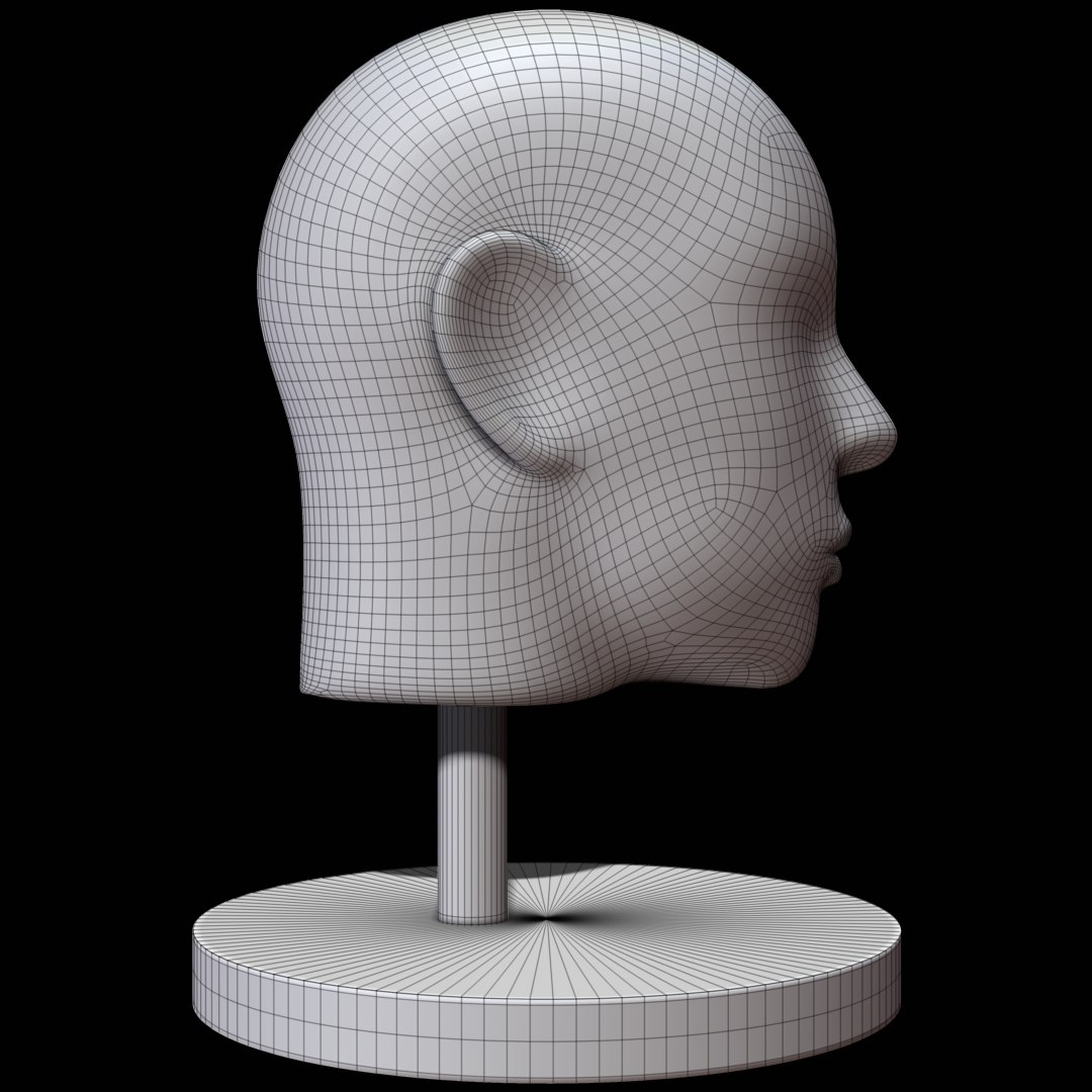 3D Mannequin Head Man Model - TurboSquid 1152584