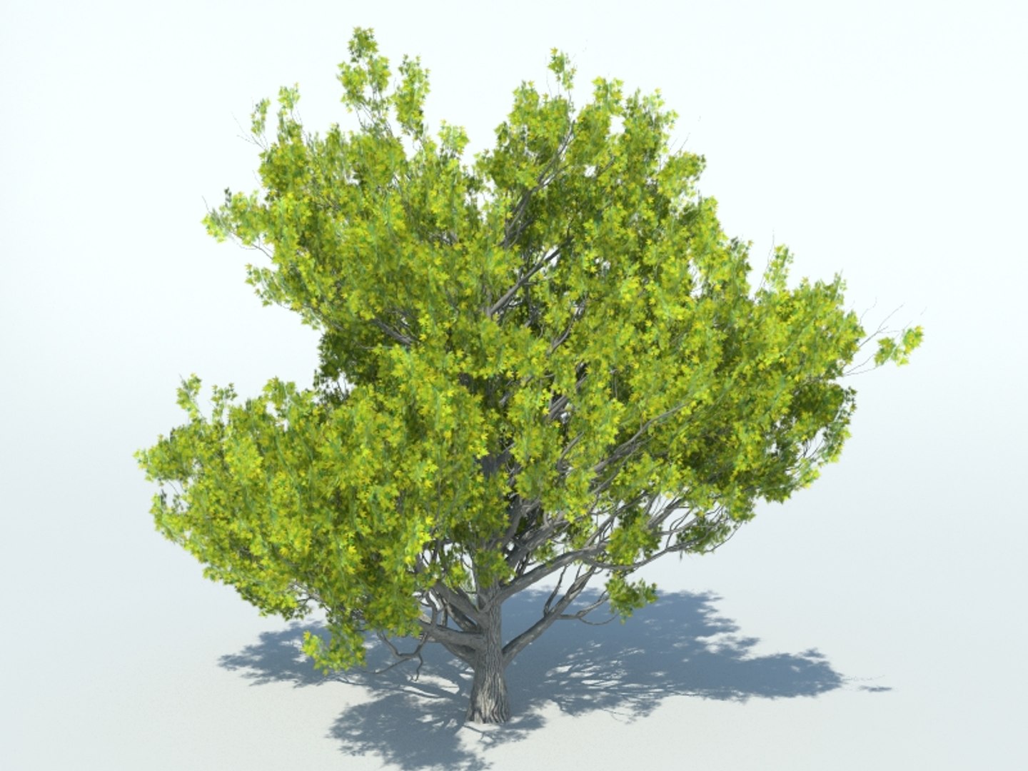 liquid amber 3D model https://p.turbosquid.com/ts-thumb/TK/pYO3M1/K17HqRiT/3/jpg/1542026605/1920x1080/fit_q87/daceafe1f17caabc9967fe3cd7b0a249c22a8102/3.jpg
