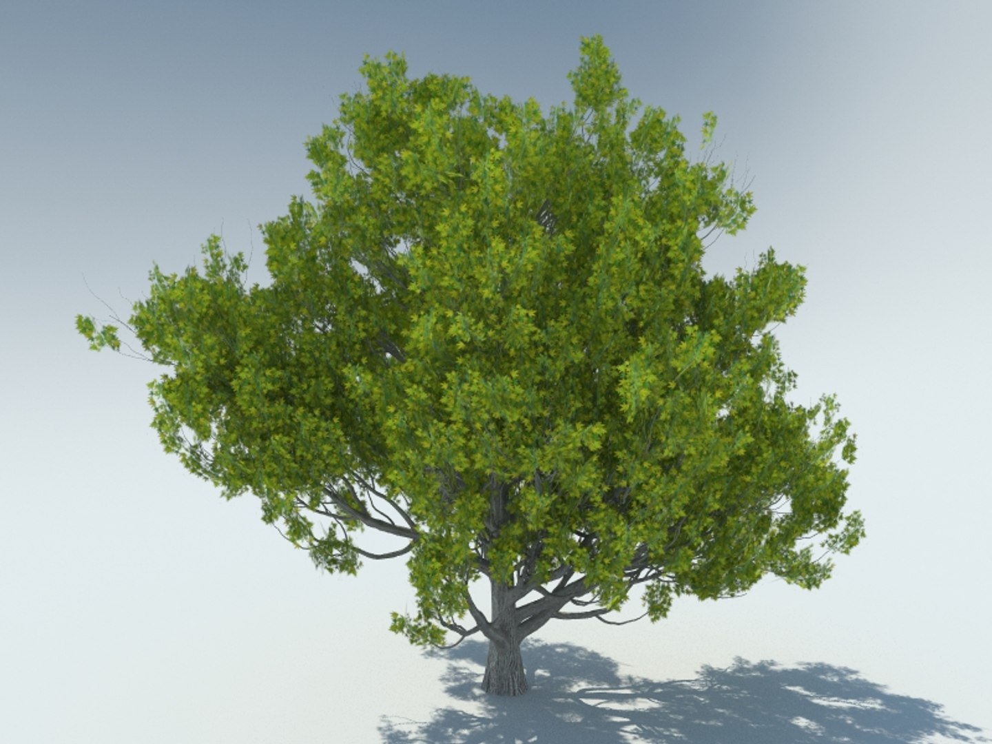 liquid amber 3D model https://p.turbosquid.com/ts-thumb/TK/pYO3M1/LVR9ZMVz/2/jpg/1542026595/1920x1080/fit_q87/f5d0013203a96c181c8a2bac9c0daac846ceff67/2.jpg