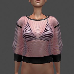 Sheer Sweatshirt and Bra