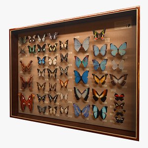 butterflies 3d max