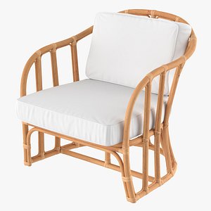 Vintage Rattan Armchair with Cushions