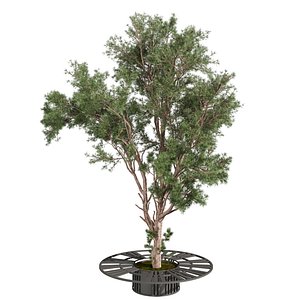 Collection plant vol 640 - tree - pine - 3dsmax - blender 3D