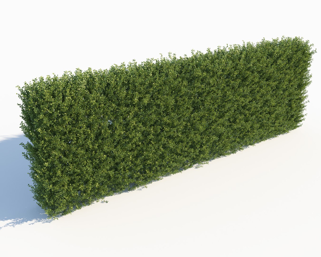 realistic hedges max https://p.turbosquid.com/ts-thumb/TL/XizFL0/1DRo76Ua/wall_hedge_scatterable2/jpg/1580236648/1920x1080/fit_q87/39e4751e79eab8c8aeeef93078115e3b207cb958/wall_hedge_scatterable2.jpg