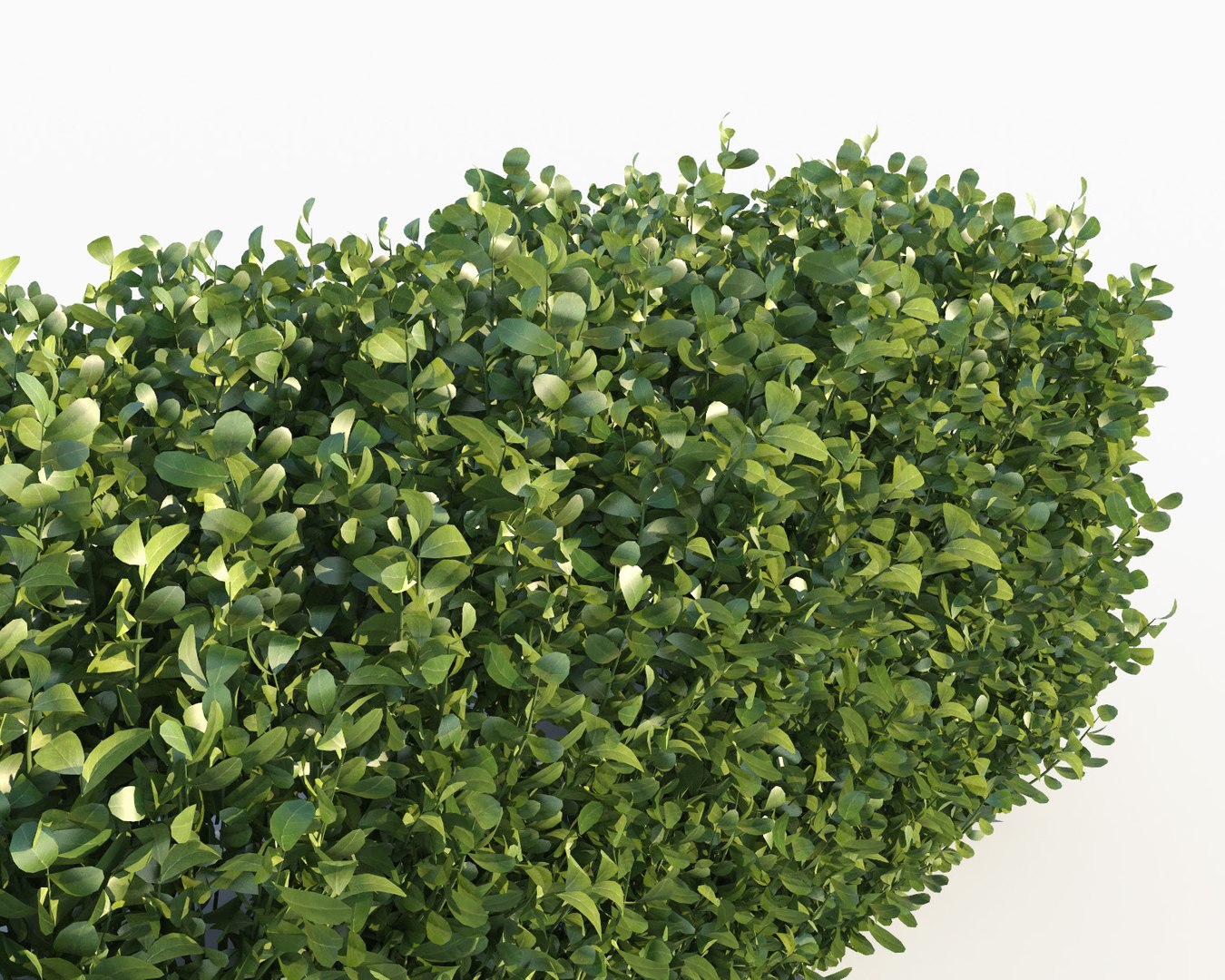 realistic hedges max https://p.turbosquid.com/ts-thumb/TL/XizFL0/99C9fS5D/hedge_scatterable6/jpg/1580236528/1920x1080/fit_q87/aa7ffac70cb21f25847fb1822061e3d9236306b9/hedge_scatterable6.jpg