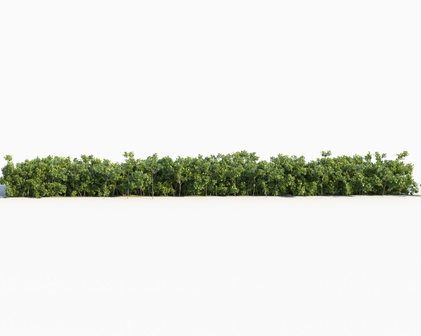 realistic hedges max https://p.turbosquid.com/ts-thumb/TL/XizFL0/LdQaEjdA/shrubs_scatterable6/jpg/1580236569/1920x1080/fit_q87/f6ea3443270397ed60c9895804320b2a0ce6f46a/shrubs_scatterable6.jpg